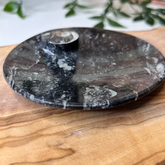 Genuine Orthoceras Fossil - Fossil Oval Ammonite Trinket dish from Morocco - Picture 10 of 11